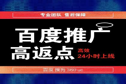 百度广告竞价之成功案例：某行业领军企业的崛起之路